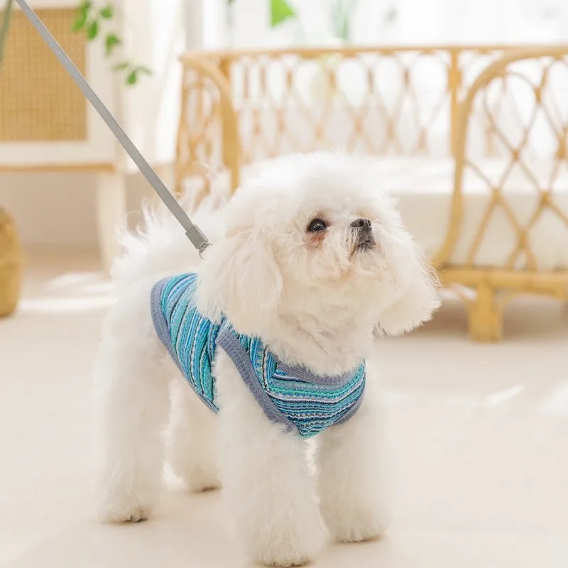 Breathable Mesh Pet Dog Vest Dog Summer Clothes Thin Cooling T Shirt Chihuahua Bichon Costume Cat Clothing Girls Puppy Shirt New