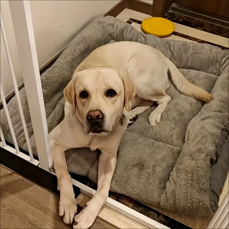 Dog Pet Beds Extra Large Plush Dog Bed Sofa Thickened Super Soft Polyester Pet Mat Dog Crate Mat Bed For Large Dog Bed