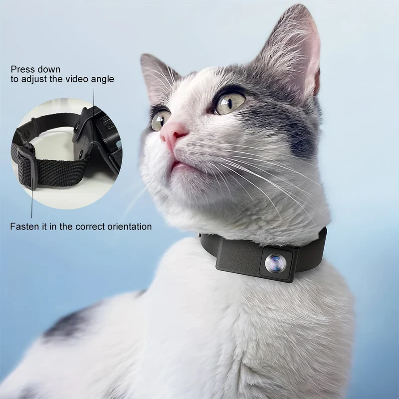 BORME HD 1080P Pet Cameras Dog Cat Pet Camera Wireless Collar Camera No WiFi Needed Video Records for Cats Dogs Birthday Gift