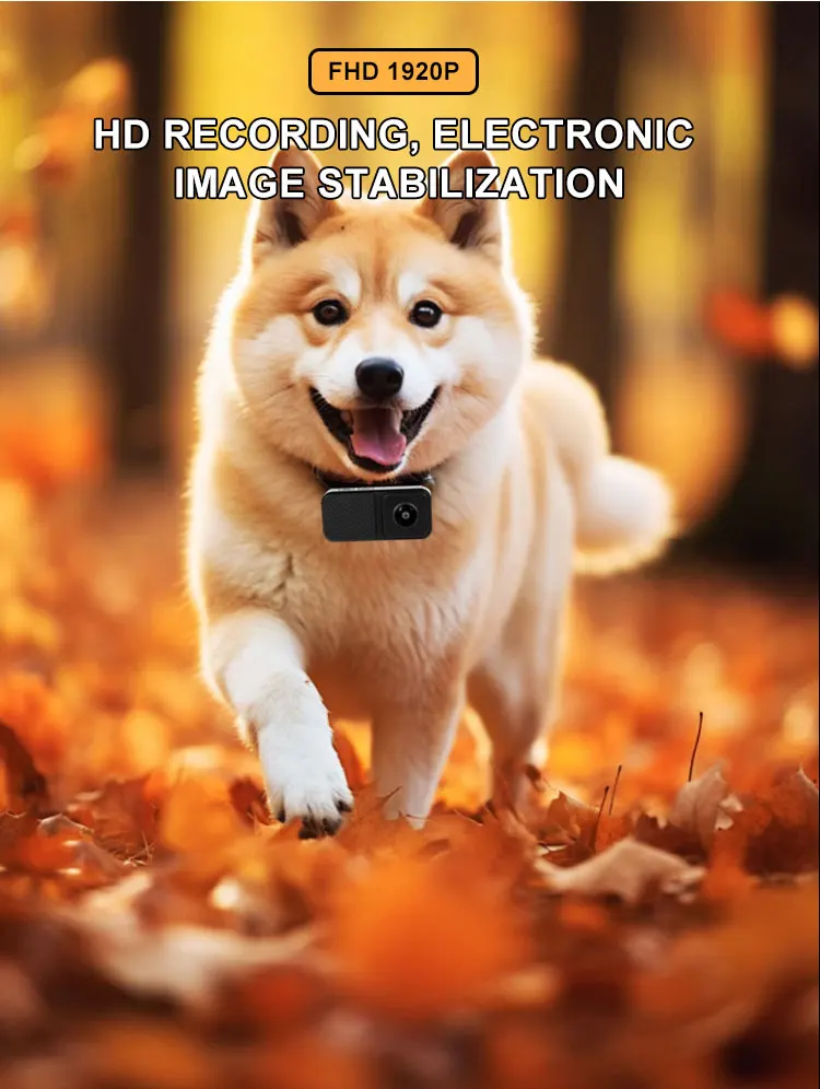 BORME HD 1080P Pet Cameras Dog Cat Pet Camera Wireless Collar Camera No WiFi Needed Video Records for Cats Dogs Birthday Gift