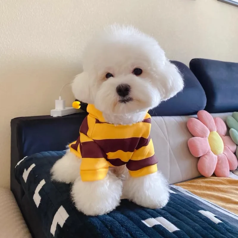 1PCS Dog Clothes For Autumn And Winter Schnauzer Teddy Small Puppy Cat Pet Hoodie Bee Transformation Suit