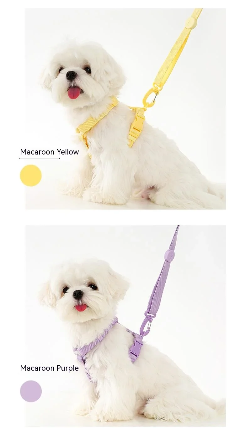 Dog Harness Dog Collar Dog Leash Macarone Color Cat Accessories Pet Small Dog Accessories Small Dog Harness Dog Supplies