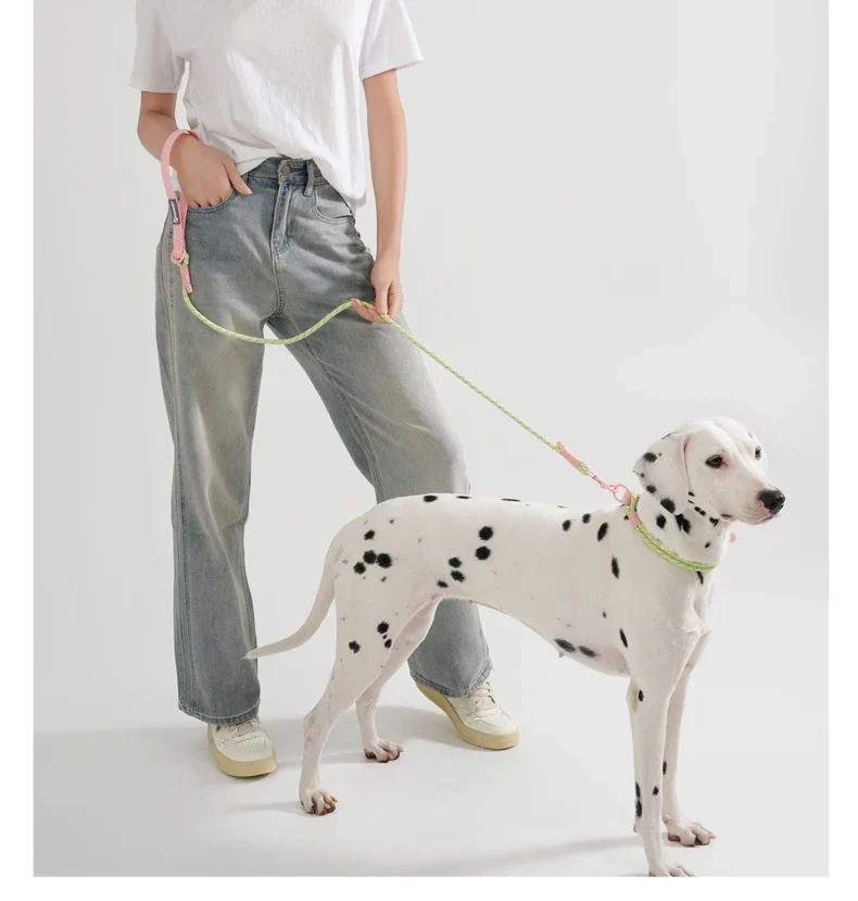 Pet Collar Cute Fashion Nylon webbing Dog Lead Collar Candy Style Handmade Webbing PVC Neck Ring Cool waterproof Dogs supplies