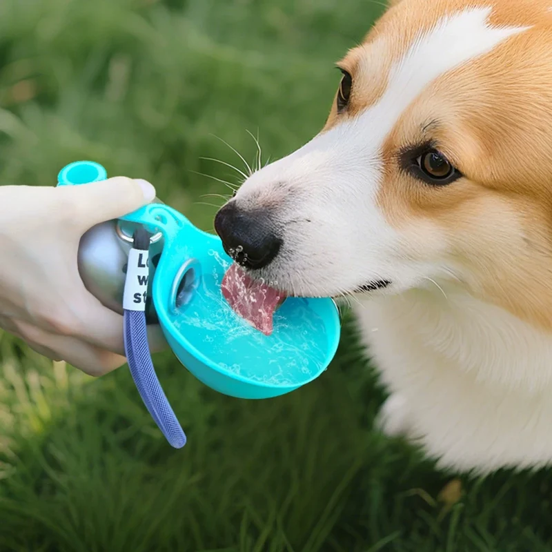Pet Water Bottle 304 Stainless Steel Collapsible Ball Shaped Drinking Device Portable Dog Bowl For Small Dogs Outdoor Portable