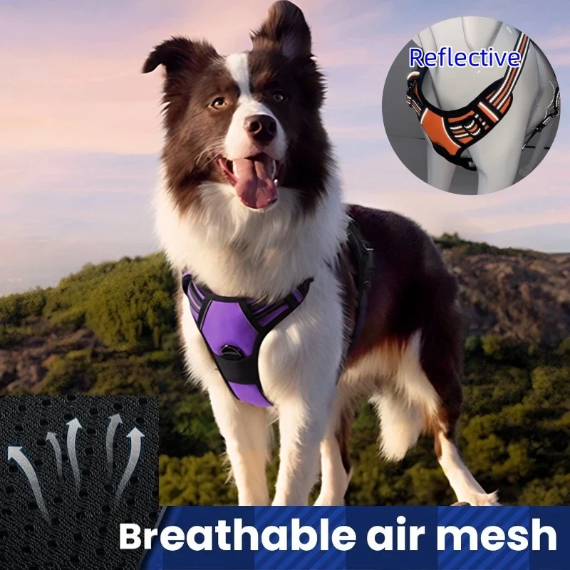 Medium Large Dog Collars Harness Big Vests Harness for Dog Pet Shop Everything for Dogs Small Dogs Harness Puppy Accessories