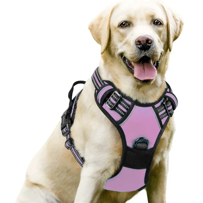 Medium Large Dog Collars Harness Big Vests Harness for Dog Pet Shop Everything for Dogs Small Dogs Harness Puppy Accessories