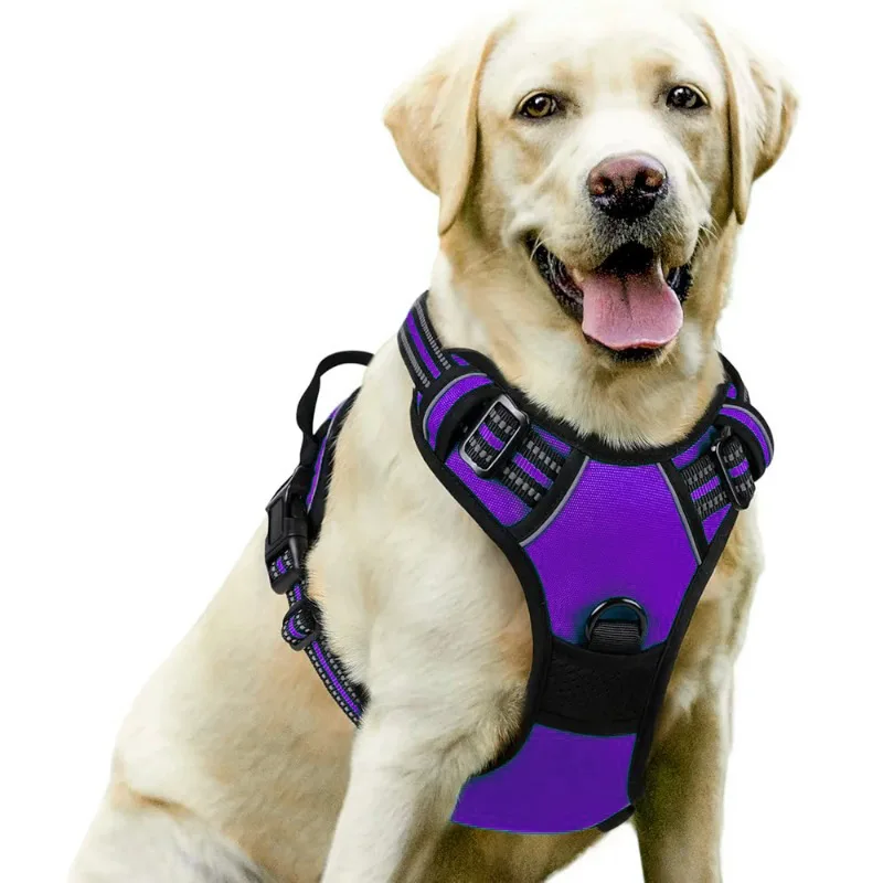 Medium Large Dog Collars Harness Big Vests Harness for Dog Pet Shop Everything for Dogs Small Dogs Harness Puppy Accessories