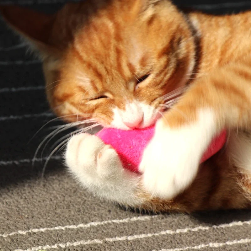 Teeth Grinding Catnip Toys Funny Interactive Plush Cat Toy Pet Kitten Chewing Vocal Toy Claws Thumb Bite Cat mint For Cats