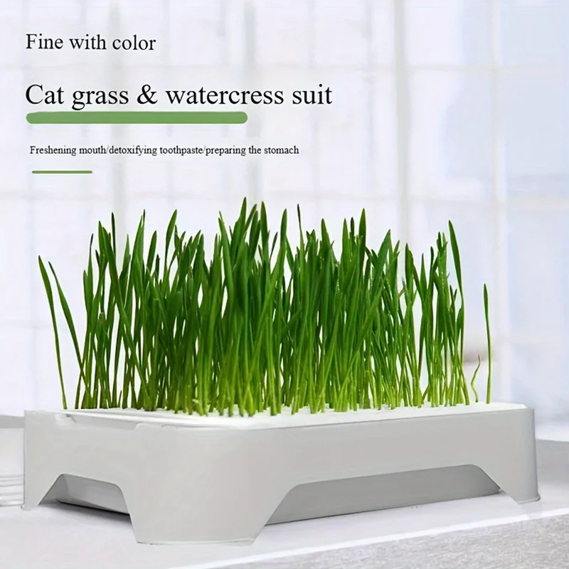 Pet Cat Grass Planting Basin Soilless Culture Wheat Seedling Pot Kitten Grass Hydroponic Device Horticultural Planting Pot