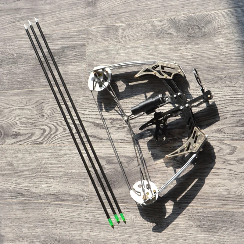 Archery Mini Compound Bow 25 Lbs Adult Shooting Fishing Hunting Bow