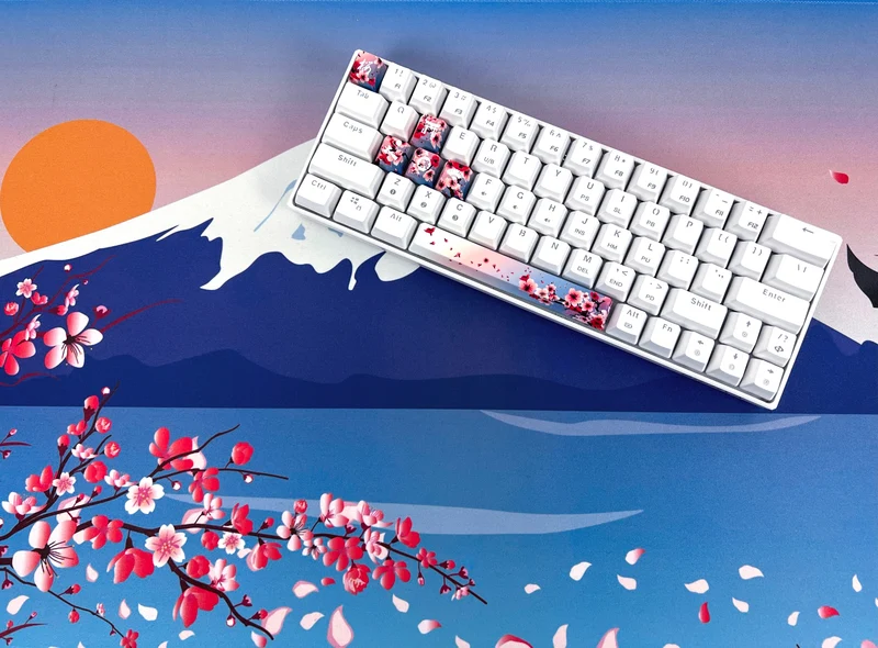 Sakura (Dawn)-Paket
