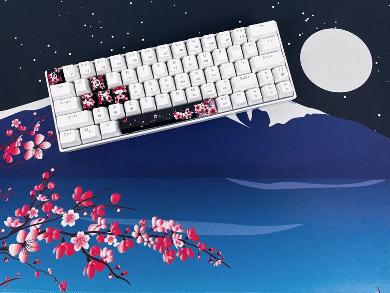 Sakura (Dämmerung) Paket