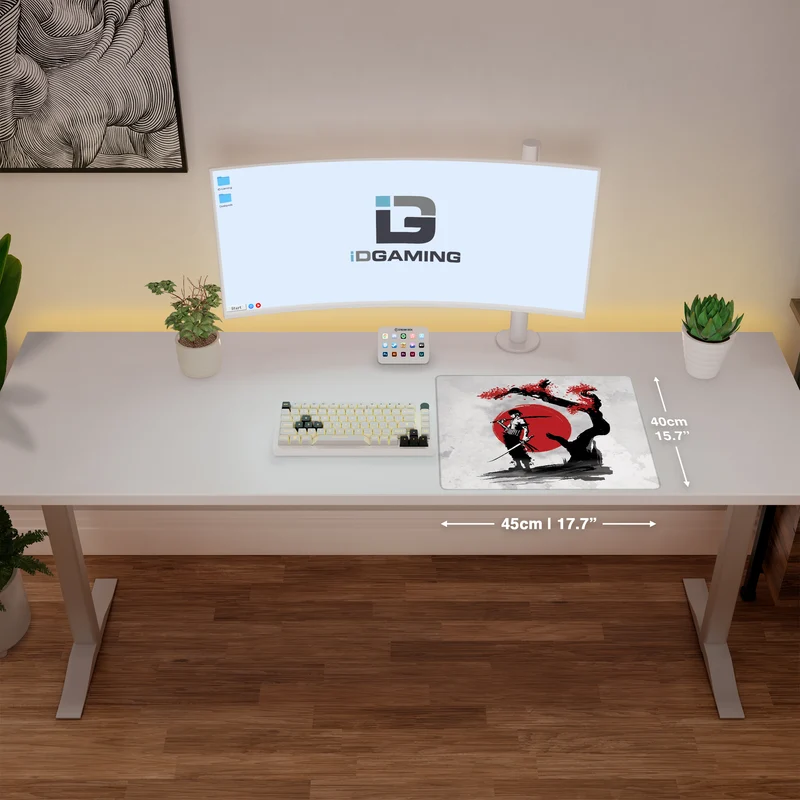 Schwertkämpfer Pirat