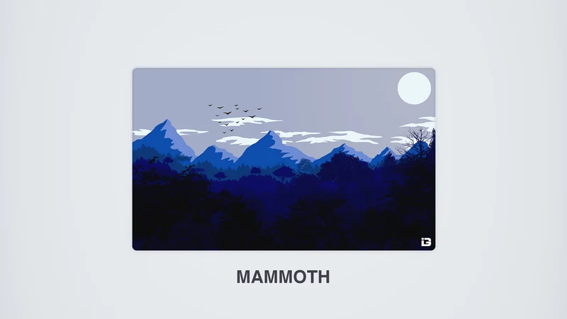 Möwen - Sonnenuntergang