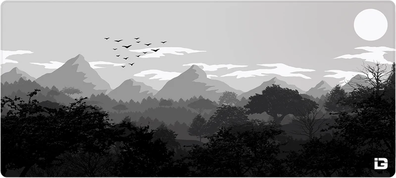 Gulls