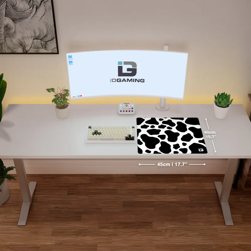 Schwarze Kuh