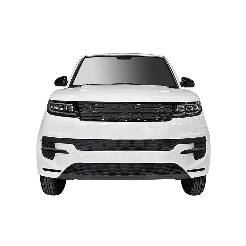 2024 Hot Sale Electric Car 360KM Range Mini EV Cheap Price