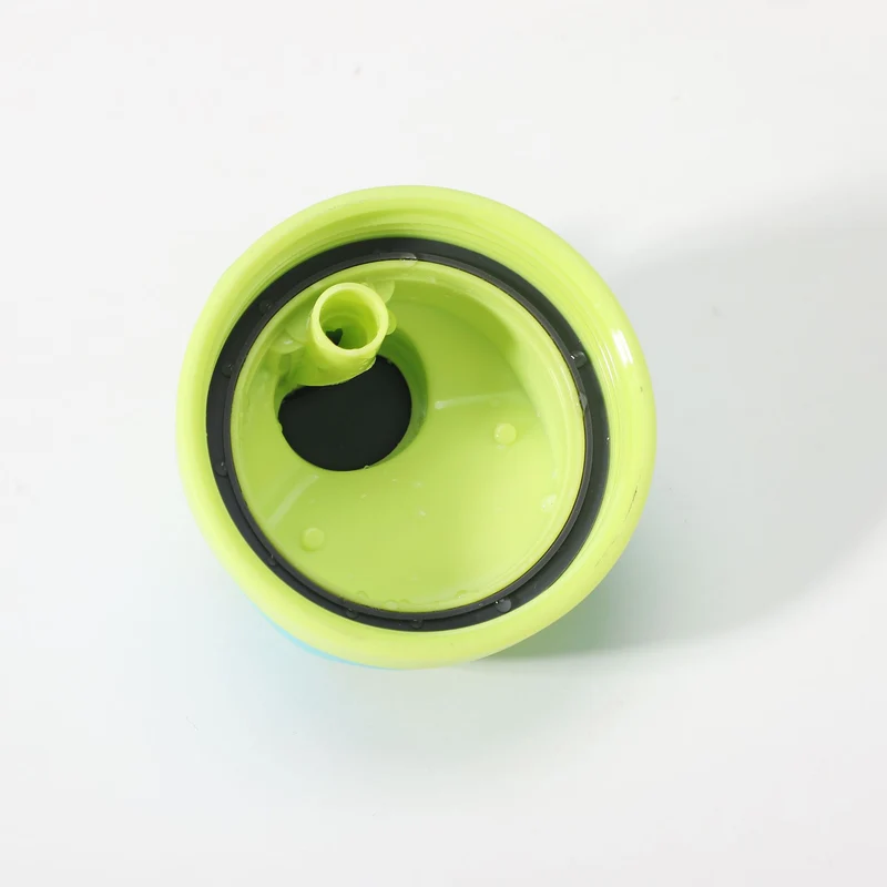 Cute High-Appearance Water Bottle with Straw for Girls, Suitable for Sports and Outdoor Use, Children's Plastic Cup, Gift, Household Water Jug, Leak-Proof and Sealed