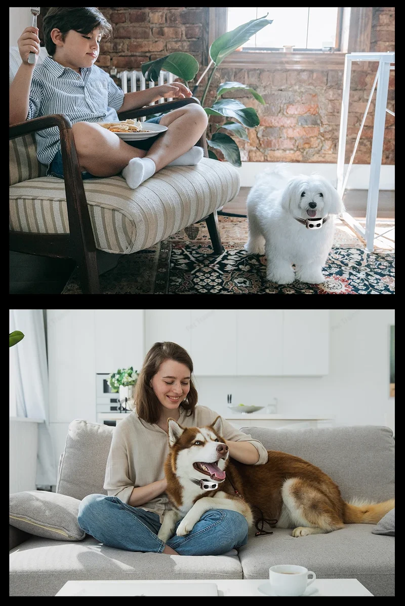 2 In 1 Electric Pet Wireless Fence Dog Training Collar Anti Runaway Up to 3 Dogs Outdoor Pet Containment Rechargeable System