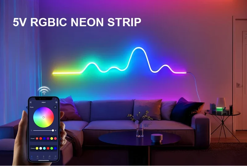 WS2812 RGBIC RGB LED Neon Light Strip,5V USB Waterproof Bluetooth Diode Neon Tape Ribbon with Remote for Room Ceiling Decoration