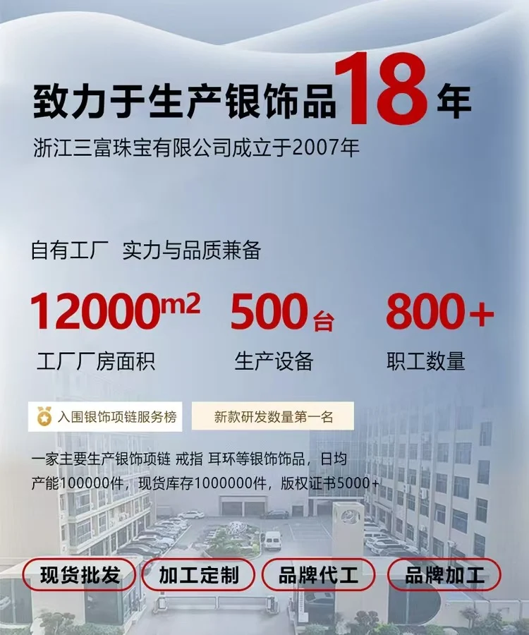 S925 Sterling Silver Hetian Jade Necklace for Women, Chinese Style with the Character for Fortune, Versatile Light Luxury Collarbone Chain, Elegant Gift Accessory, Jade