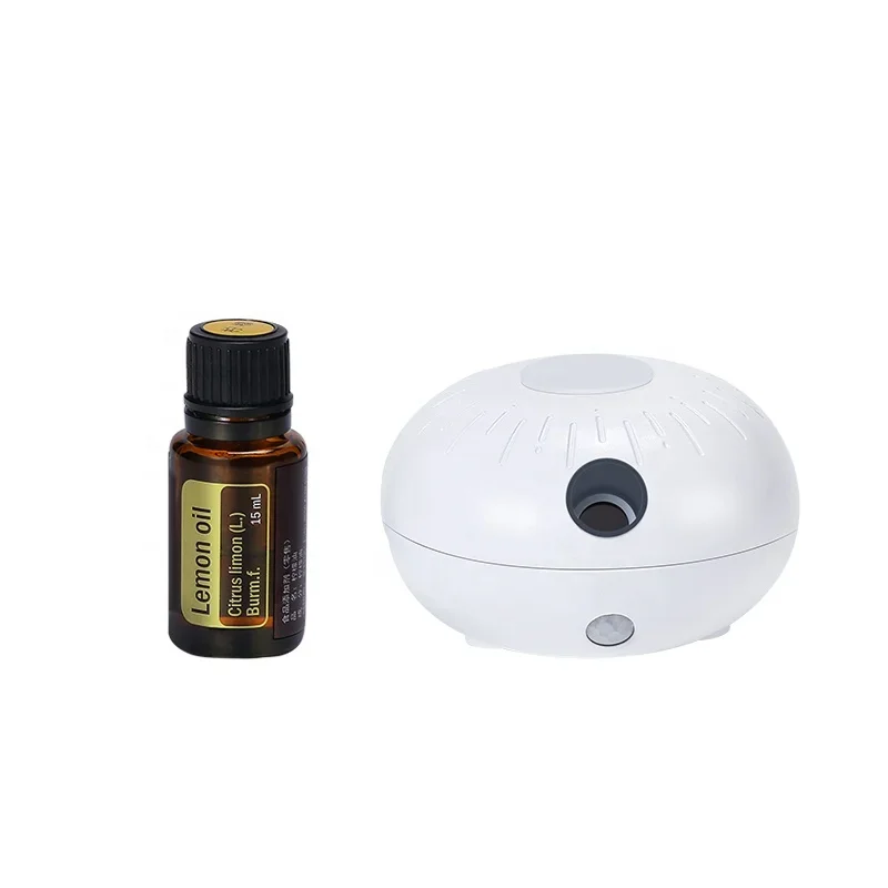 Room Fragrance Diffuser USB Car Air Nebulizer Diffuser Funny Automatic Induction Portable smell distributor For Bedroom Office