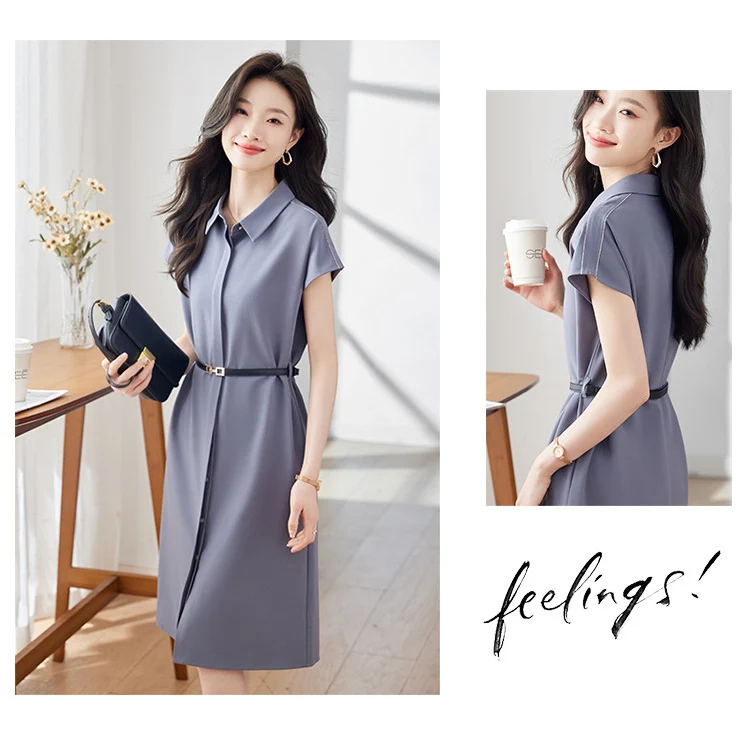 [Elegant Long Skirt] V-neck Short-sleeved dress High-end Work Clothes Mid-length Skirt Spring and Summer Business Wear Uniform