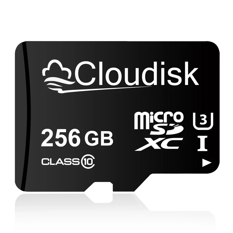 Cloudisk Micro SD Memory Card U3 128GB 64GB 32GB 256GB V30 C10 16GB 8GB 4GB 2GB 1GB A1 Microsd Cards For Phone Tablet
