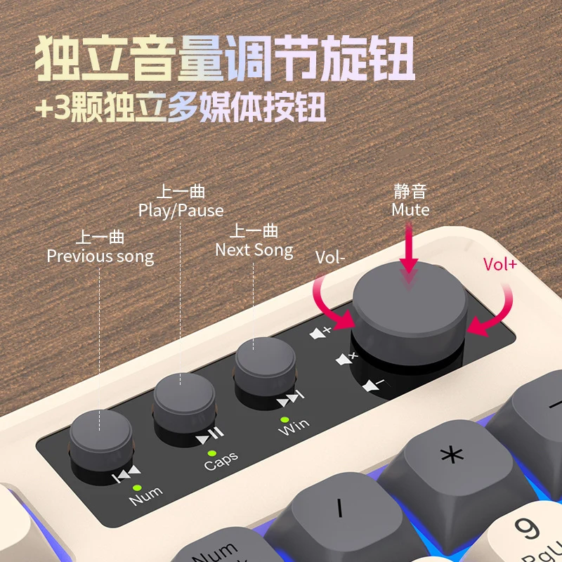 RAIKU Lei Kui K98/T98 customized game keyboard and mouse suit three-color wired luminous desktop 98 keys