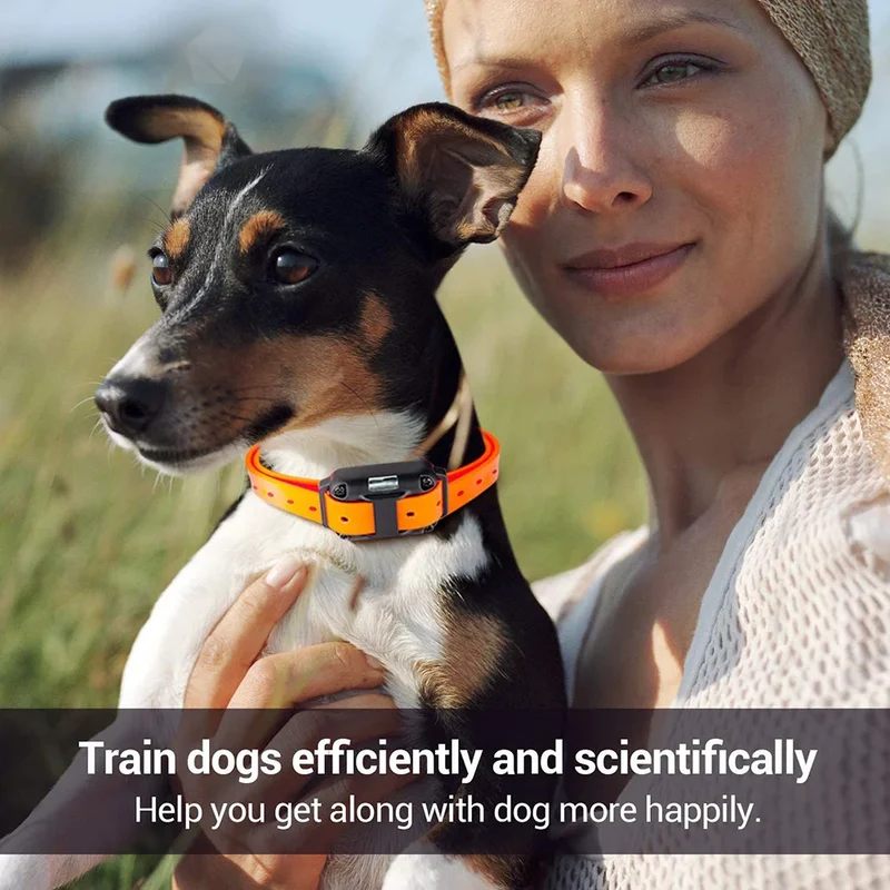 Electric Dog Training Collar Detachable Bark Rechargeable Anti Barking Shock Vibration Collar for All Dogs Pet with Clicker