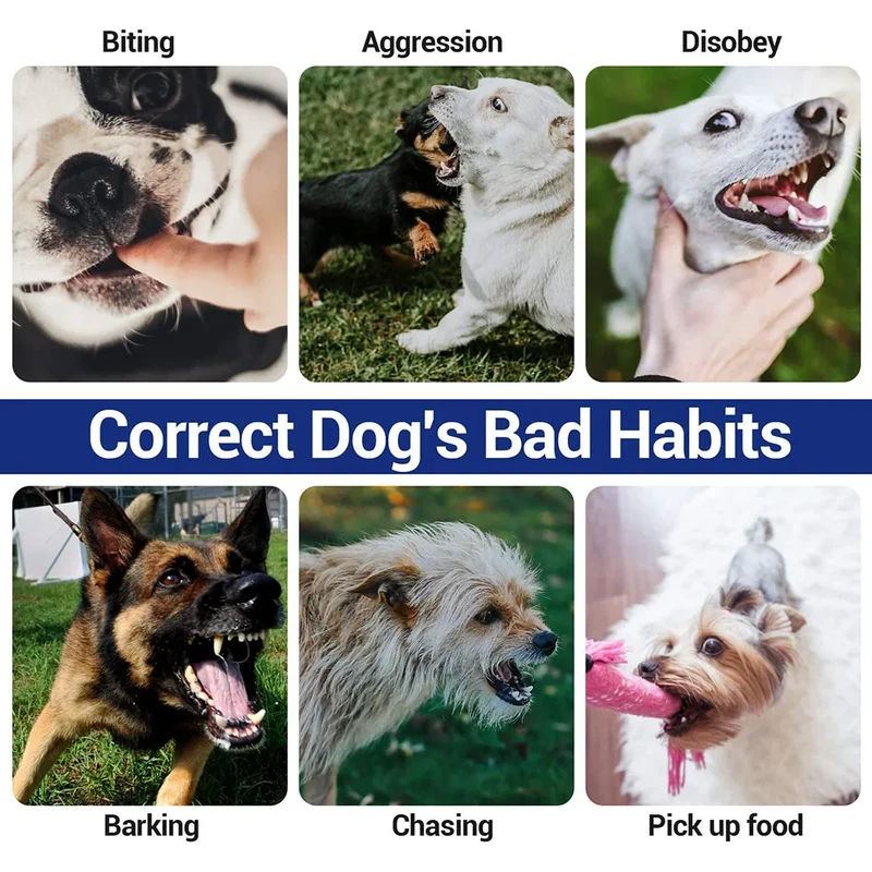 Electric Dog Training Collar Detachable Bark Rechargeable Anti Barking Shock Vibration Collar for All Dogs Pet with Clicker