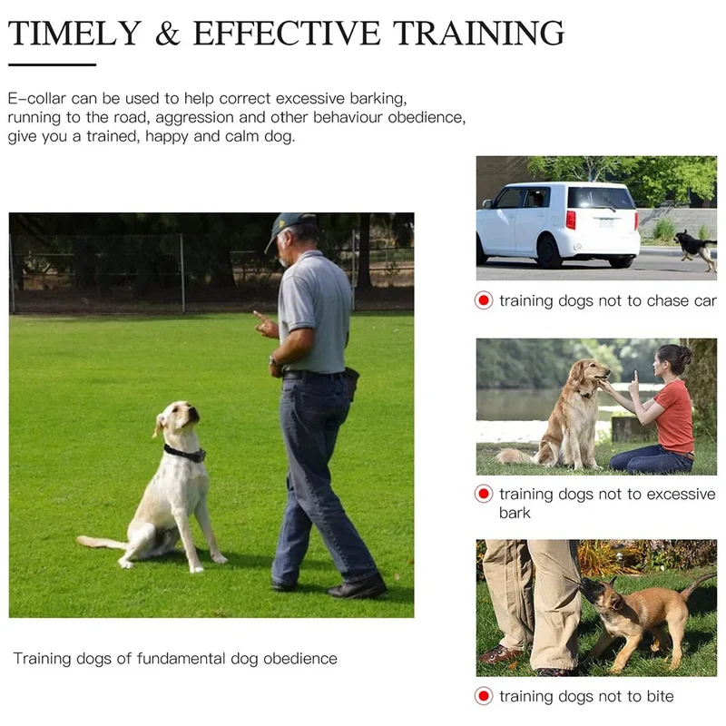 Electric Dog Training Collar Detachable Bark Rechargeable Anti Barking Shock Vibration Collar for All Dogs Pet with Clicker