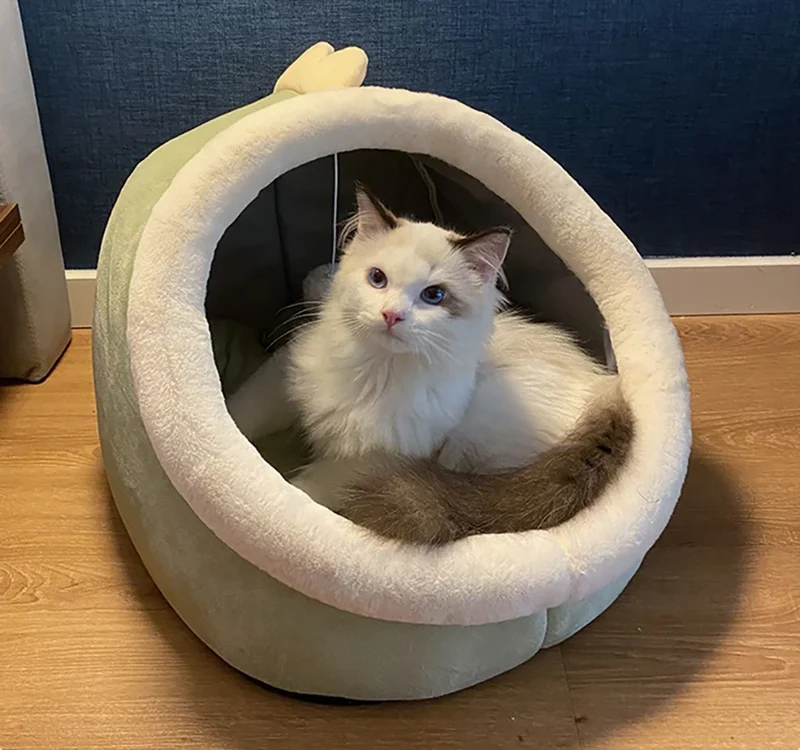 Deep Sleep Cat Bed Cartoon Pet Bed Foldable Removable Washable Pet Sleeping Bed for Small Dog Mat Bag Cave Cats Bed