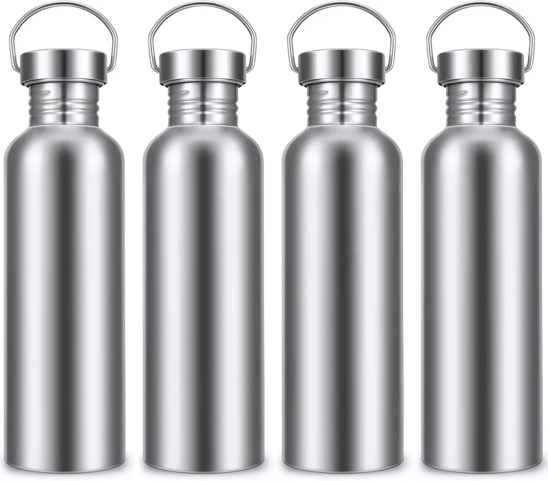 Stainless Steel Double-Walled Sports Bottle with Handle, Metal Reusable Water Bottle with Lid, School, Hiker, Gift