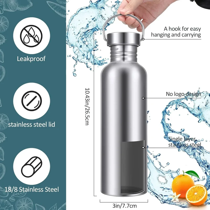 Stainless Steel Double-Walled Sports Bottle with Handle, Metal Reusable Water Bottle with Lid, School, Hiker, Gift