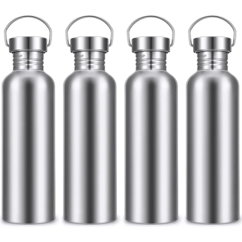 Stainless Steel Double-Walled Sports Bottle with Handle, Metal Reusable Water Bottle with Lid, School, Hiker, Gift