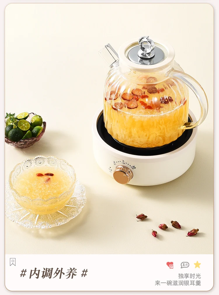 Health Pot Multifunctional Home Office Thickened Glass New Tea Maker Kettle Flower Tea Pot Gift 110V
