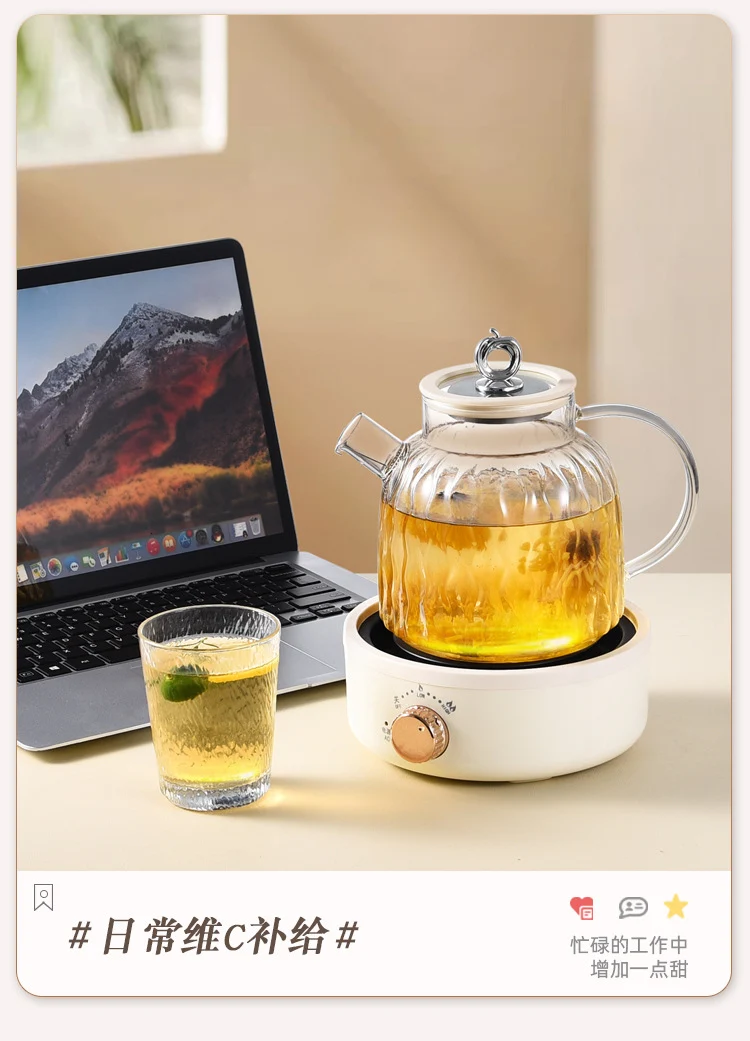 Health Pot Multifunctional Home Office Thickened Glass New Tea Maker Kettle Flower Tea Pot Gift 110V
