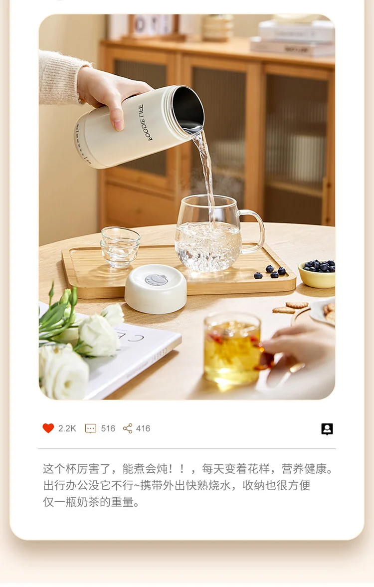 Travel Kettle Electric Heating Cup Small Portable Heating Stainless Steel Thermostatic Cup Health Kettle Tea Thermos Cup