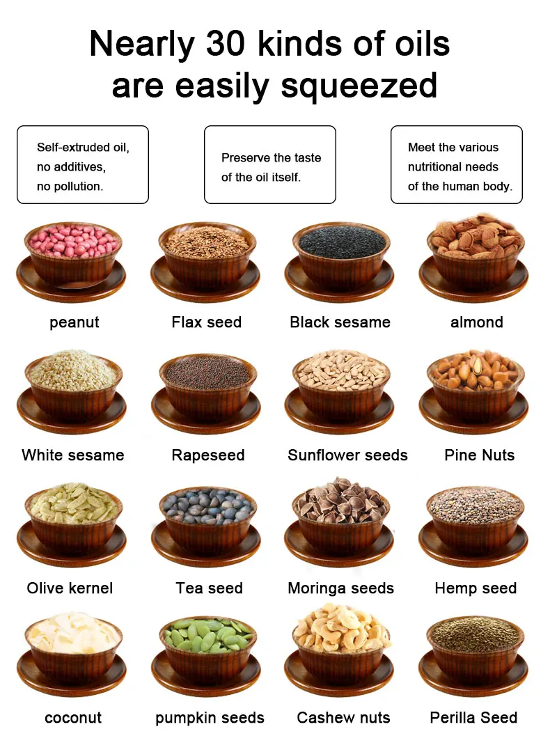 New Design 20KG/H Cold Press Oil Machine Peanut Sesame Sunflower Seed Peanut Cold Screw Oil Press Machine