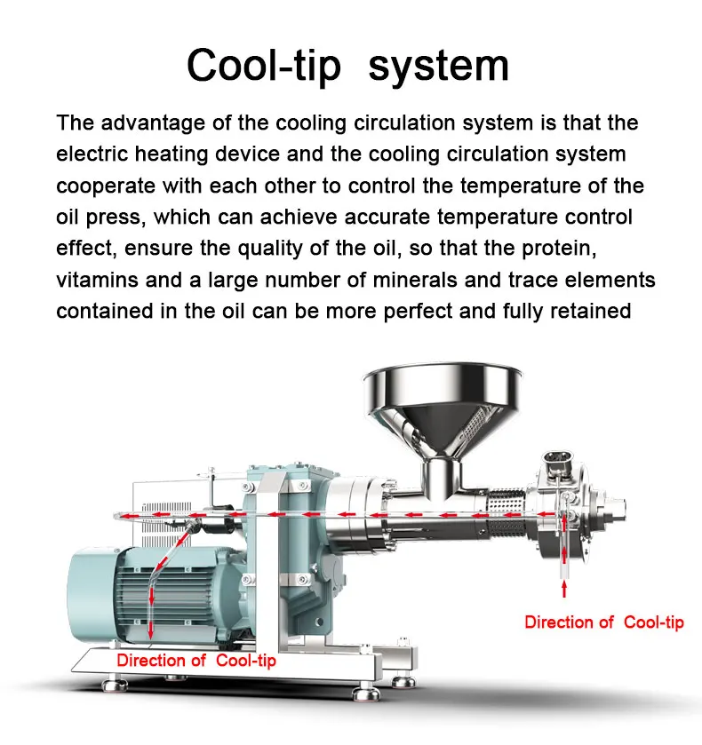 New Design 20KG/H Cold Press Oil Machine Peanut Sesame Sunflower Seed Peanut Cold Screw Oil Press Machine