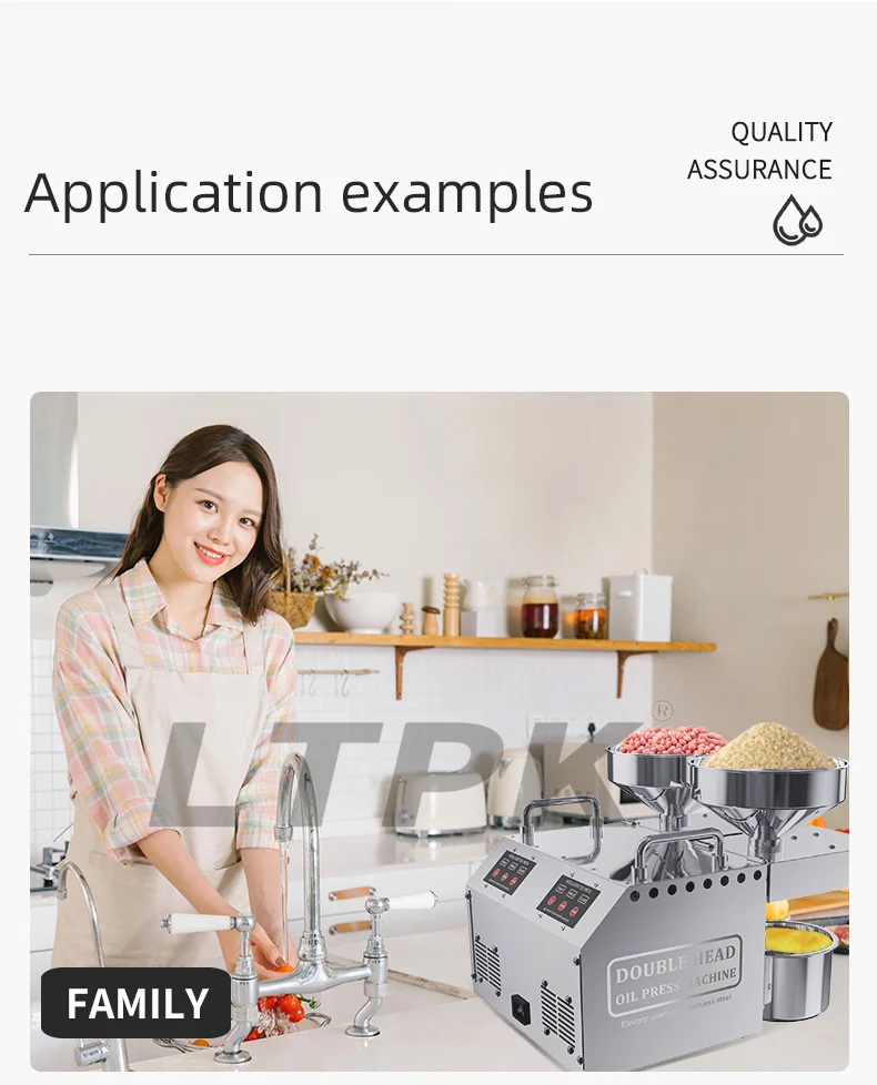 B02 Full Automatic Mini Small Household Home Use Oil Extraction Making Edible Olive Oil Press Machine