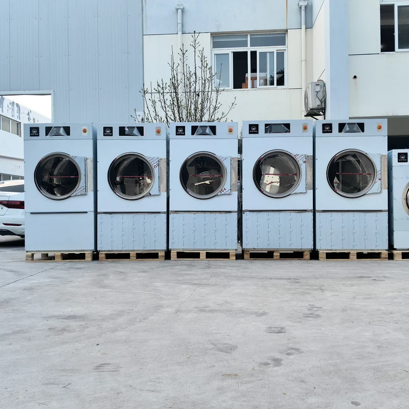 Commercial Electric Dryer Machine Fully Automatic Single Tumble Dryer Stainless Steel Condition New for Clothes Drying