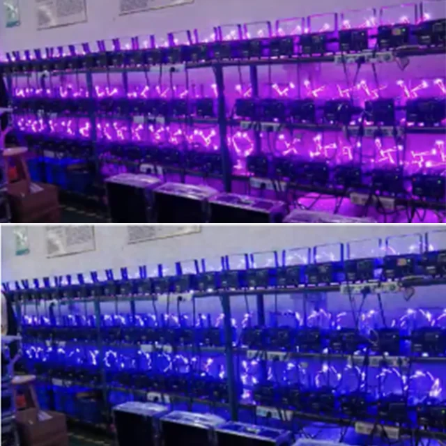 8W RGB Laser Light Professional Stage Moving Head Lasers System With DMX and ILDA for Wedding Ceremony Night Club