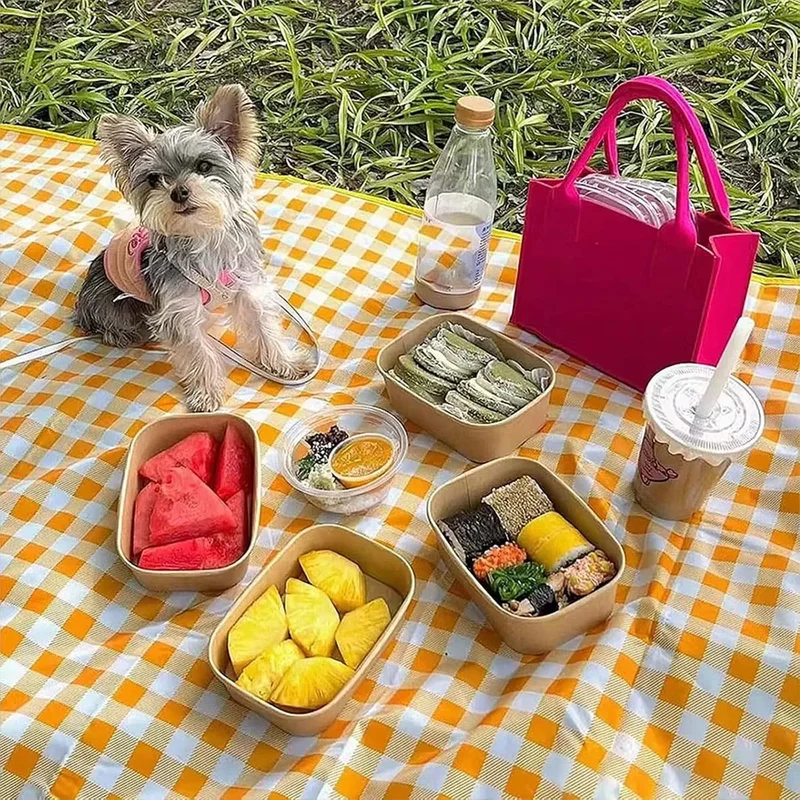 Foldable & Portable Picnic Blanket Thickened Waterproof Beach Blanket Lightweight Camping Tent Grassland Mat For Parties Travels