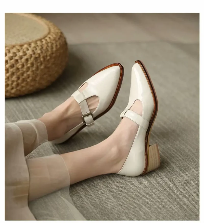 Ladies Shoes 2024 New Mary Janes Women's High Heels Fashion Buckle Strap Office and Career High Quality Pointed Toe Heels Women