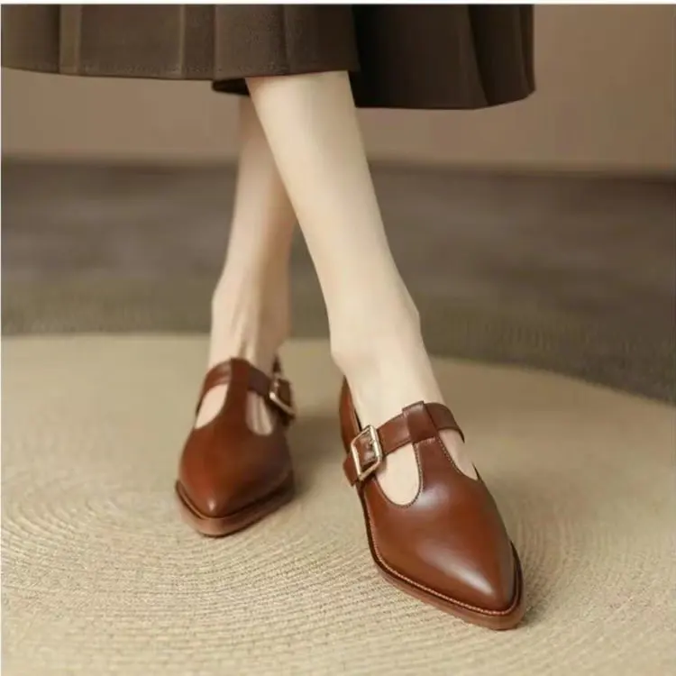 Ladies Shoes 2024 New Mary Janes Women's High Heels Fashion Buckle Strap Office and Career High Quality Pointed Toe Heels Women