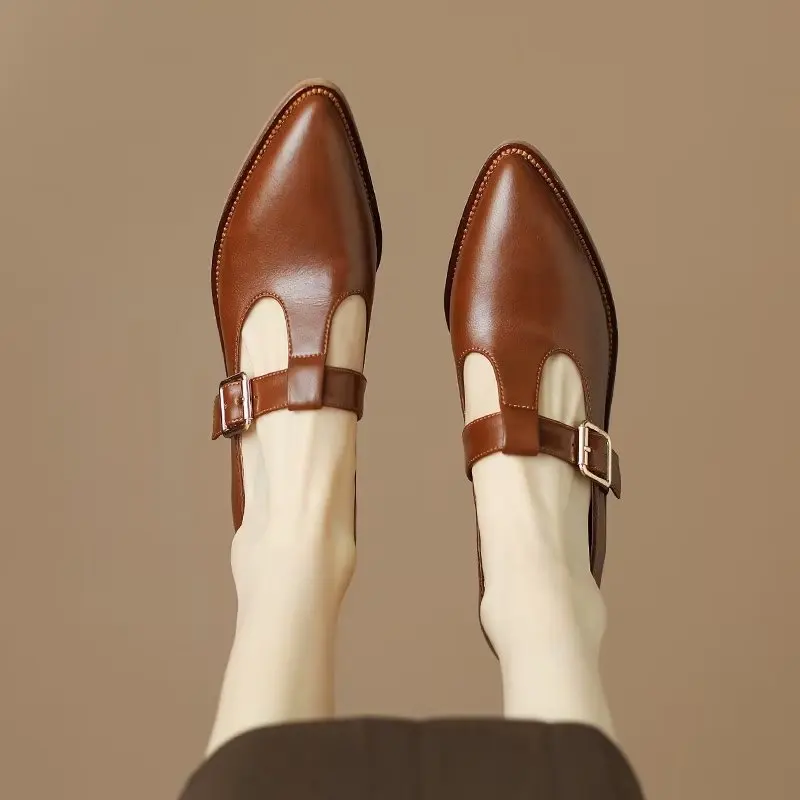 Ladies Shoes 2024 New Mary Janes Women's High Heels Fashion Buckle Strap Office and Career High Quality Pointed Toe Heels Women