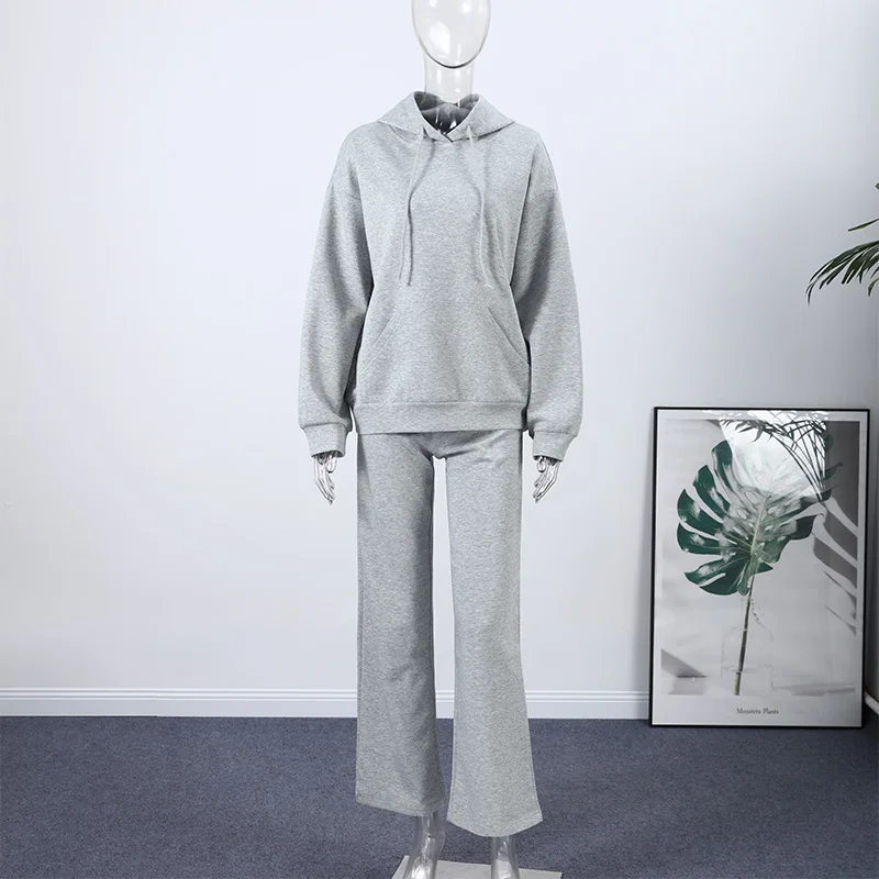 Casual Sequined Angel Wings Oversized Hoodie Women Loose Grey Long Sleeve Street Warm Pullover 2025 Winter Lady Daily Wear New