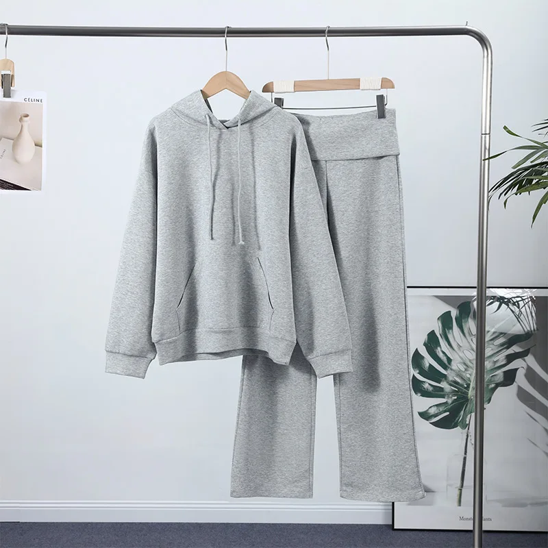 Casual Sequined Angel Wings Oversized Hoodie Women Loose Grey Long Sleeve Street Warm Pullover 2025 Winter Lady Daily Wear New